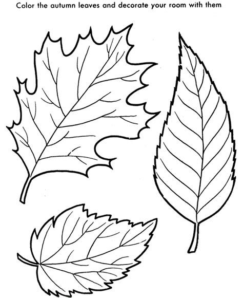 leaves coloring page|free printable leaf drawings.